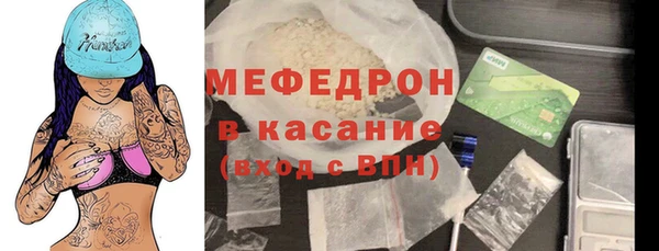 крисы Бородино