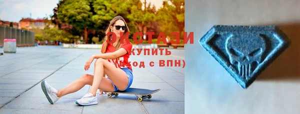 крисы Бородино