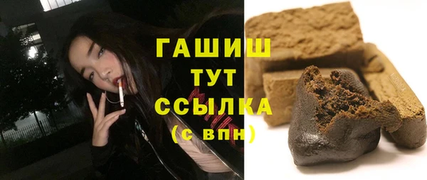 крисы Бородино