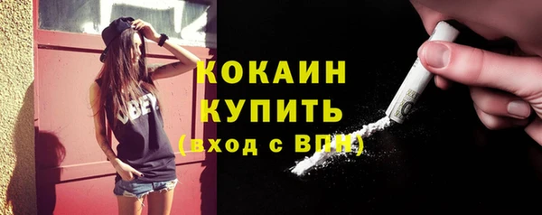 крисы Бородино