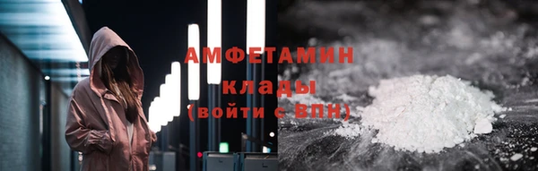крисы Бородино