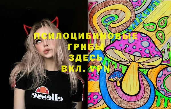 крисы Бородино