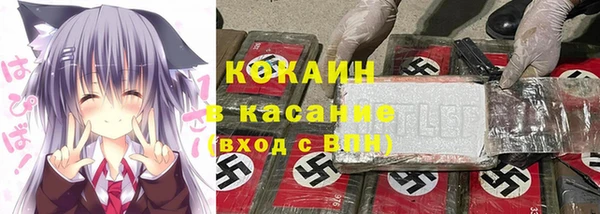 крисы Бородино
