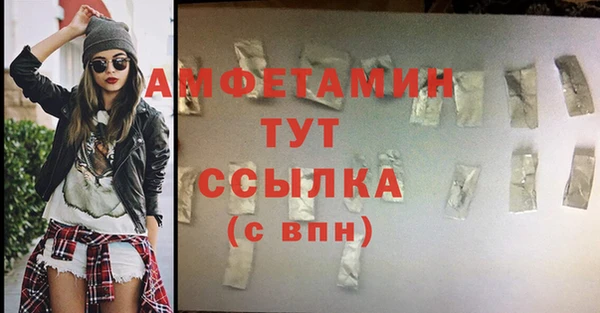 крисы Бородино