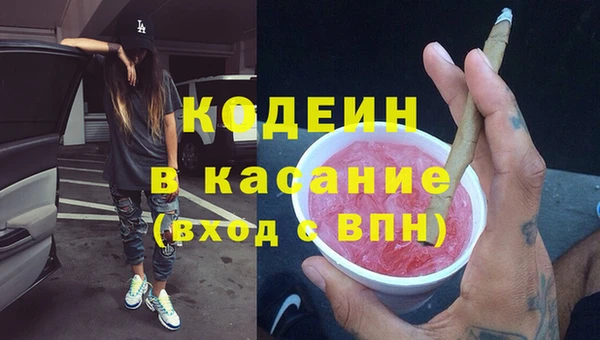 крисы Бородино