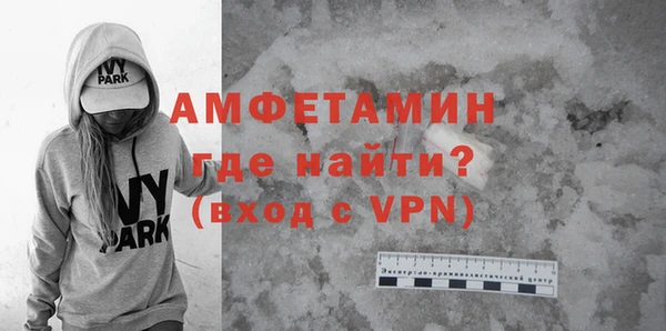 крисы Бородино