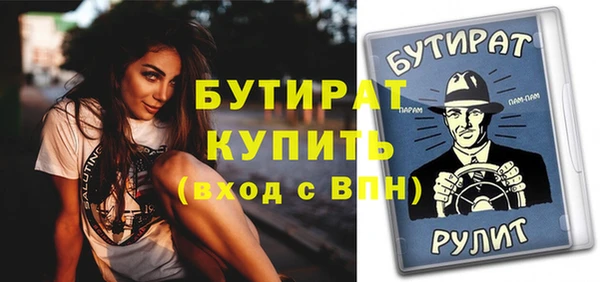 крисы Бородино