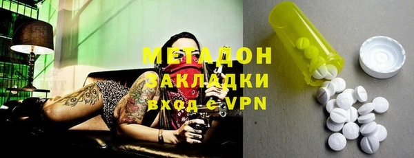 крисы Бородино