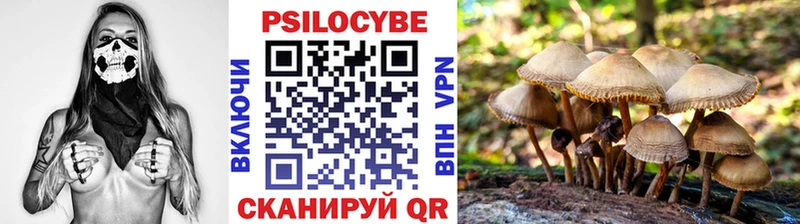 Псилоцибиновые грибы Magic Shrooms Ногинск