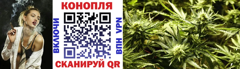 где найти   Ногинск  Бошки марихуана ГИДРОПОН 